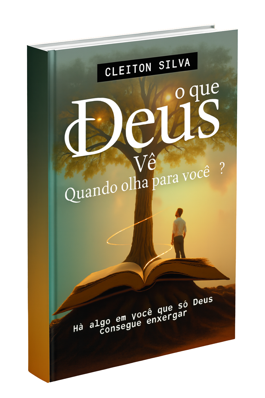 Capa do Livro O que Deus Vê